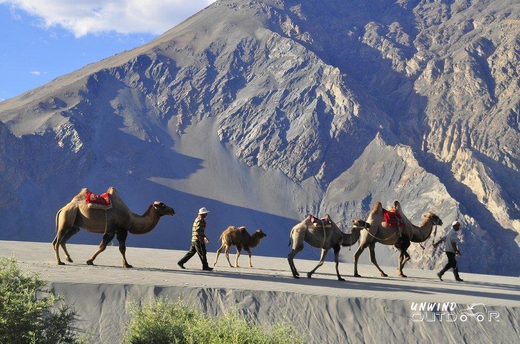 Nubra Valley Accommodation