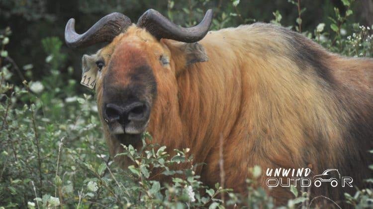 Offbeat Bhutan