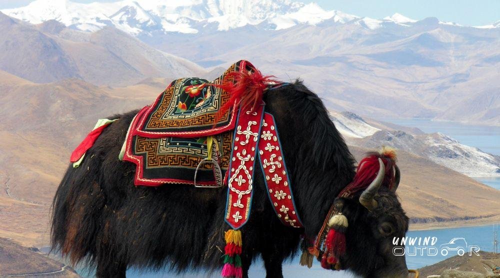 Things to do in Spiti Valley